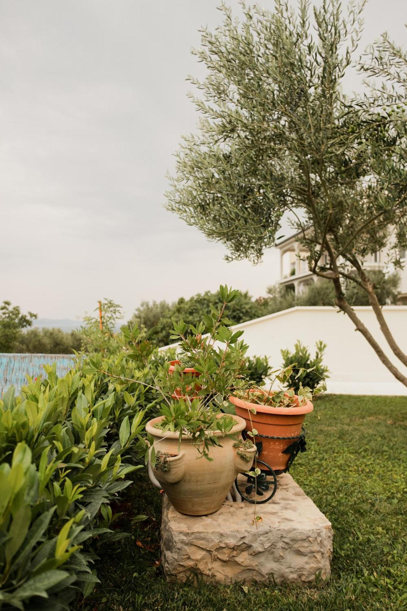 Vila Maricic Sveti Petar  Exterior photo